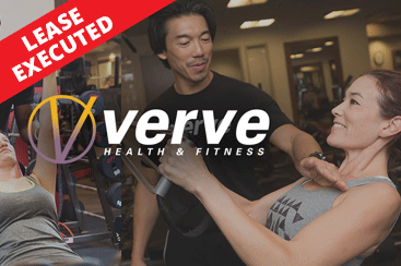 VERVE